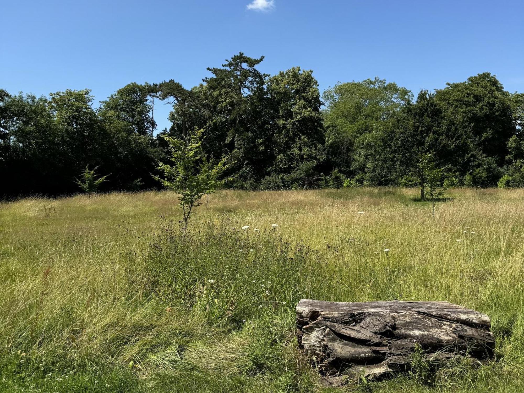 Hookwood Lodge London Gatwick Горлі Екстер'єр фото
