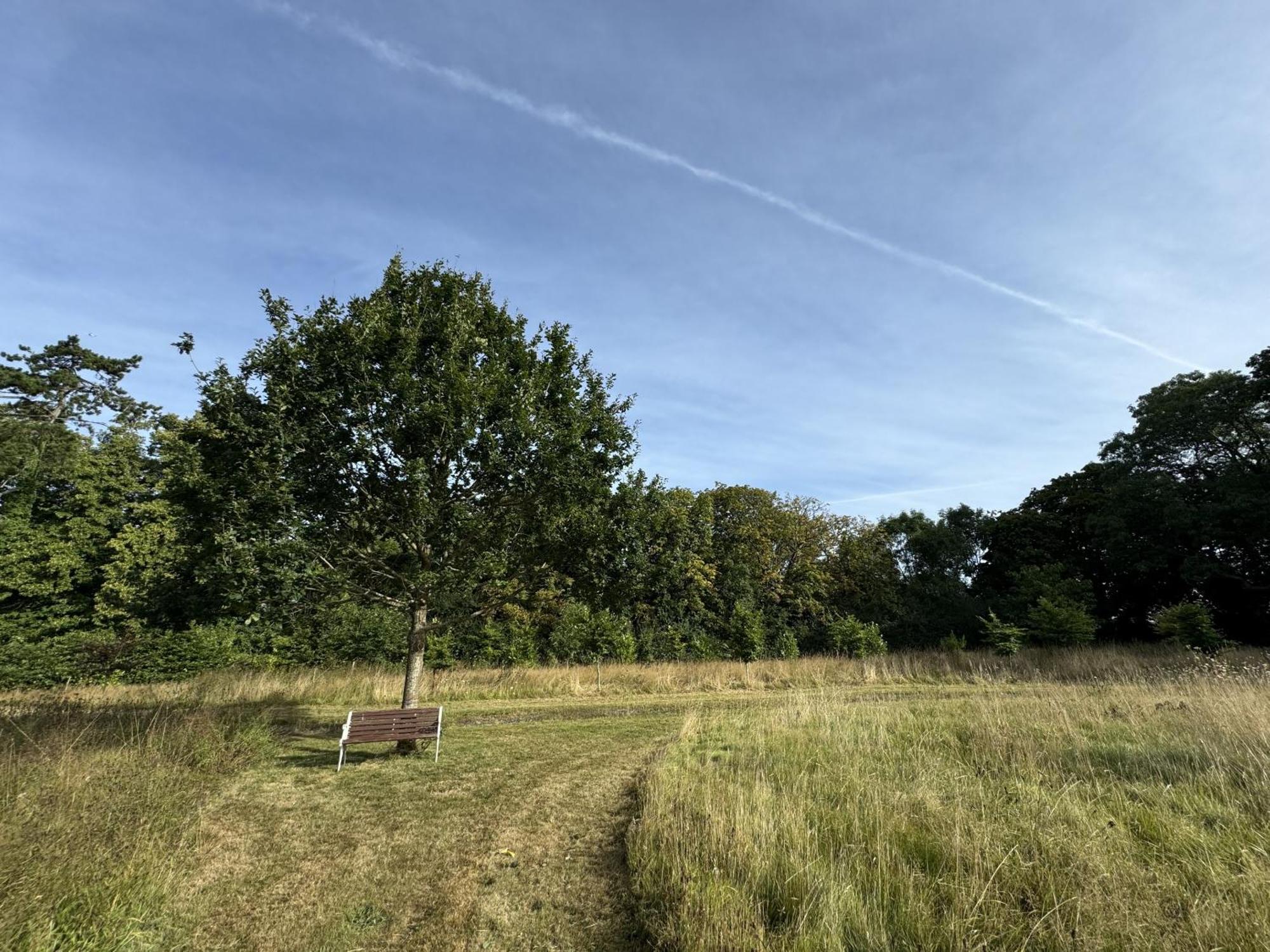 Hookwood Lodge London Gatwick Горлі Екстер'єр фото
